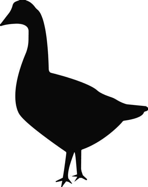 Duck black silhouette vector on a white background, duck icon ...