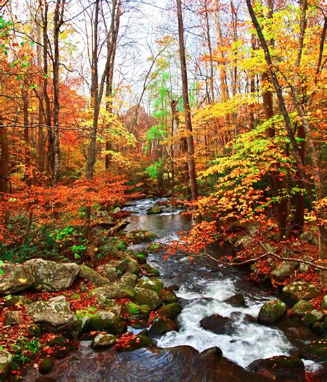 Fall Colors in Virginia Blue Ridge by Shenandoah Nat. Park