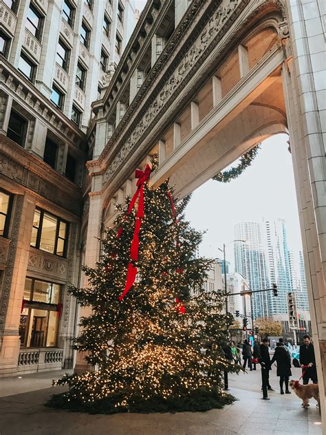 5 Must-See Christmas Trees in Downtown Chicago