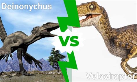 Deinonychus vs Velociraptor: Who Would Win in a Fight? - A-Z Animals