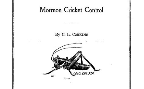 When is it OK to use the term ‘Mormon’? - LDS Living