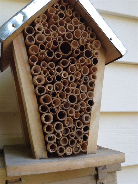 A bee house would be a wonderful addition to your wildlife habitat! Description from ...