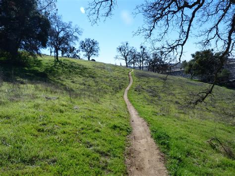 Hiking Path 1 Free Stock Photo - Public Domain Pictures