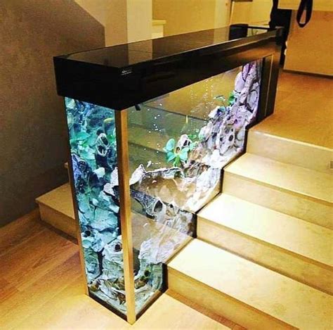 11 Unbelievable Home Aquarium Setup That Will Make Your Jaw Drop - HomelySmart | House design ...