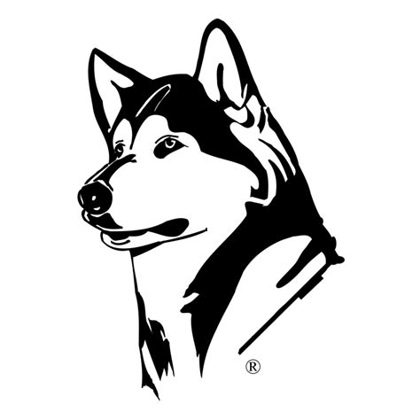 Husky Png Transparent Image Download Png File