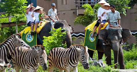 Bali Elephant Ride - BALI TRIP ADVENTURE