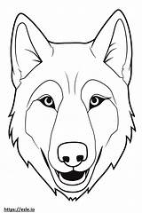 Saarloos Wolfdog Face coloring page sketch template