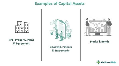 Capital Assets - Meaning, Examples, Vs Ordinary Assets