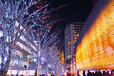 Tokyo in winter: what to do - Lonely Planet