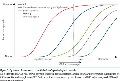 Figure 2 from Hypothetical model of dynamic biomarkers of the Alzheimer's pathological cascade ...