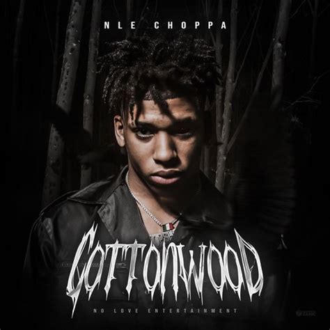 NLE Choppa - Cottonwood - Reviews - Album of The Year