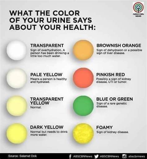 What The Color Of Your Urine Says About Your Health (Infographic) - Health - Nigeria