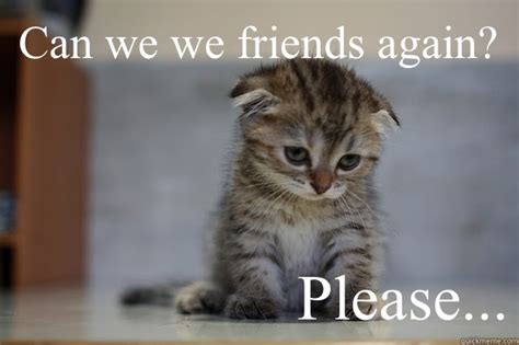 Can we we friends again? Please... - Sad Kitten - quickmeme