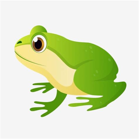 Green Cartoon Frog with Big Eyes PNG and PSD