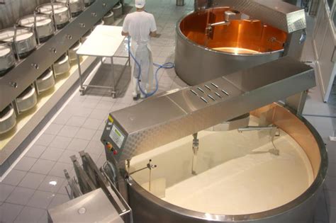 What Is Involved in the Process of Cheese Making?