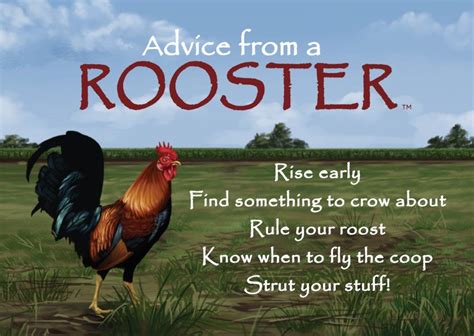 Advice from - A Rooster | Nature quotes, Advice quotes, True nature