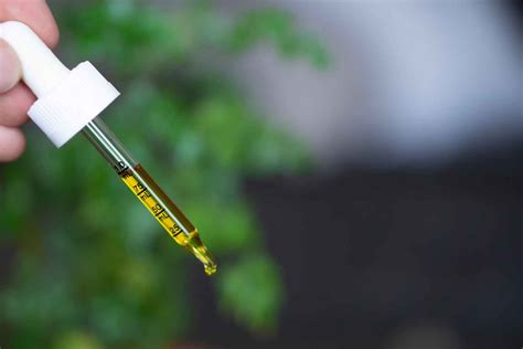 CBD Oil from Holland and Barrett – Is It Worth It? Hemp Product Review – UK Hemp Product Reviews