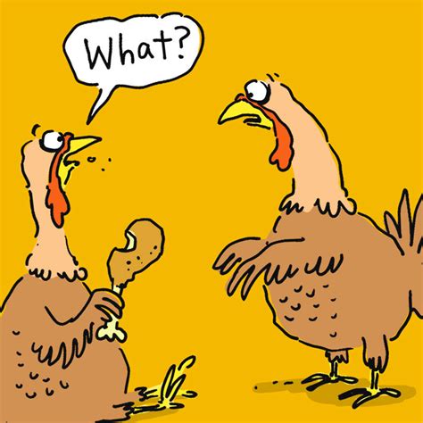 Two Turkeys Surprise Funny Thanksgiving Card - Greeting Cards - Hallmark