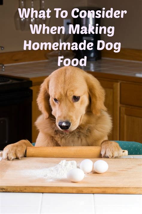 What To Consider When Making Homemade Dog Food