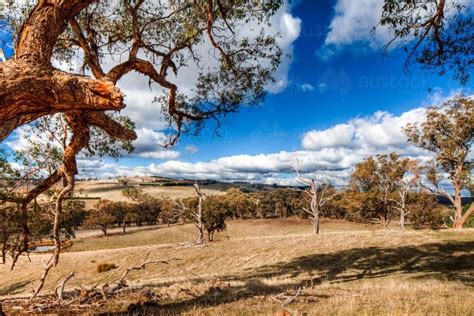 Image of Australian landscape in summer - Austockphoto