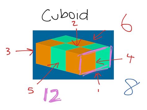 Properties of a cuboid | Math | ShowMe