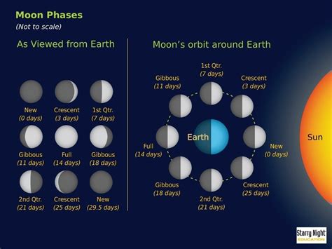 Your Menstrual Cycle and the Moon - Maxim Hygiene Blog