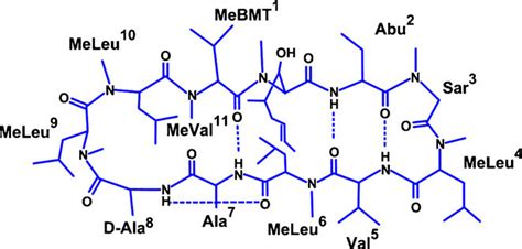 Chemical structure of Cyclosporin A (Zijlstra et al., 2007). | Download Scientific Diagram