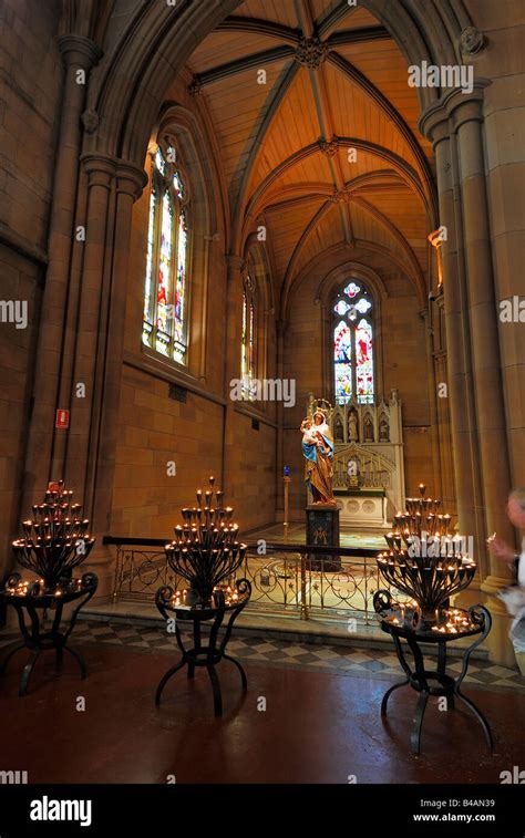 interior St Marys Cathedral Sydney New South Wales australia Stock ...