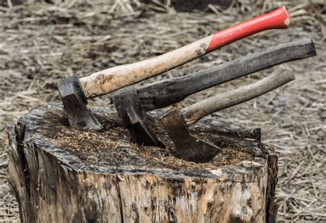 Hatchet vs Axe Explained: Comparing These Distinct & Useful Tools - The ...