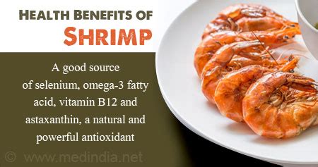 Shrimp: benefits and harms to the body – Healthy Food Near Me