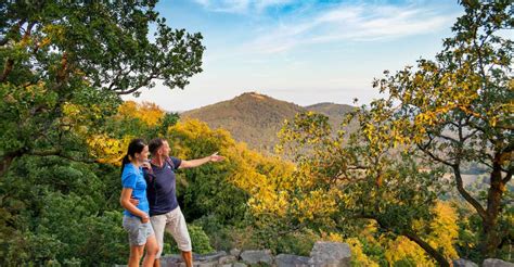 Baden-Baden: Wanderung mit dem Schwarzwald-Guide | GetYourGuide