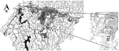 Map of Vai-e-Volta stream (Poços de Caldas, MG, Brazil) with the... | Download Scientific Diagram