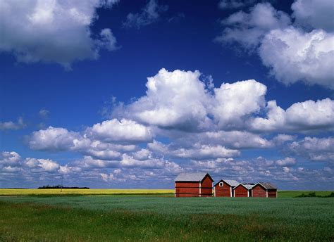 Canada, Saskatchewan, Delmas, Landscape Photograph by Jaynes Gallery ...