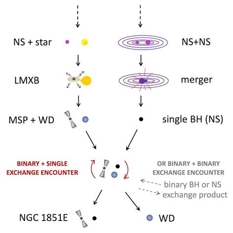 Black hole, neutron star or something new? We discovered an object that ...