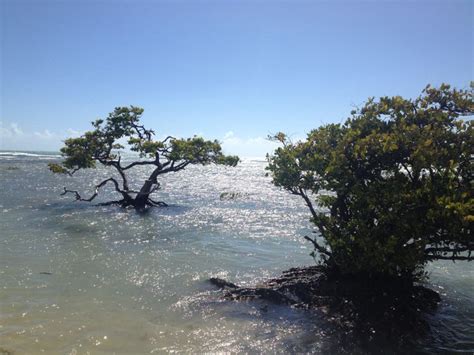 Playa de Ponce, Puerto Rico | Places to visit, Island, Beautiful places