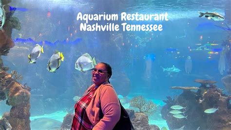 Aquarium Restaurant Under water dining adventure, Nashville, Tennessee ...