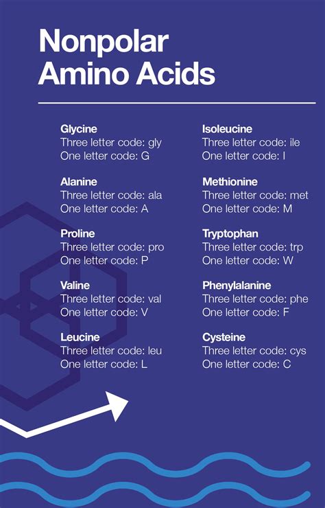 What Are Nonpolar Amino Acids? – The Amino Company