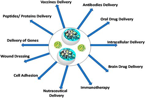 Frontiers | Protein-Based Nanohydrogels for Bioactive Delivery