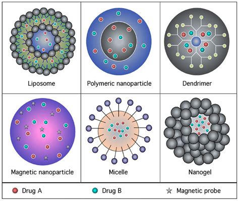 Schematic diagram representing the various types of nanoparticle use to ...