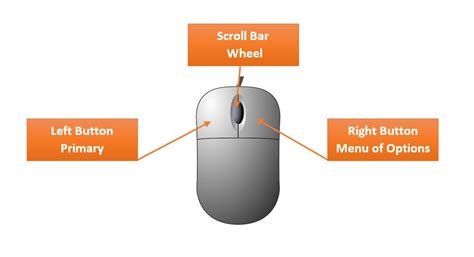 A Computer Mouse Is Used To : What Is the Function of a Computer Mouse ...