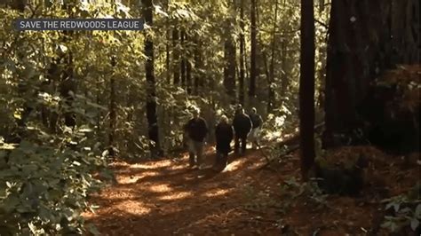 More Trails to Open in the Santa Cruz Mountains – NBC Bay Area