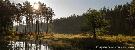 Poland Nature - Dreamstime