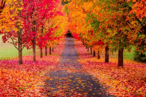 The Oregon Fall Road – Getty Photography