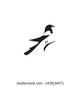 Blackbilled Magpie Idea Concept Logo Character Stock Vector (Royalty Free) 1478134571