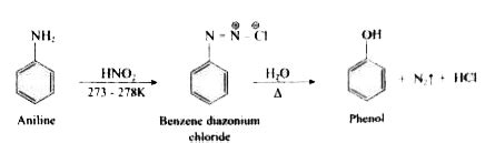 How is Aniline converted into Phenol?