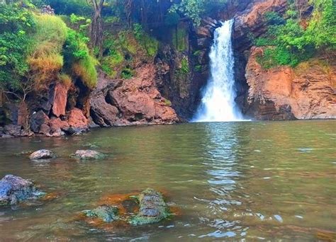 Harvalem Waterfall / Arvalem Falls in Goa | Top Places to Visit in Goa ...