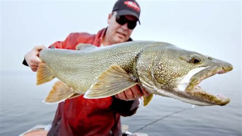 Fishing at Great Bear Lake | Plummer's Arctic Lodges - YouTube