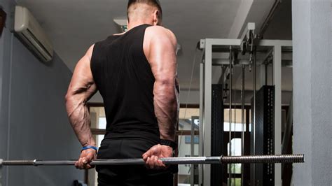 The 6 Best Forearm Barbell Exercises - The Fitness Phantom