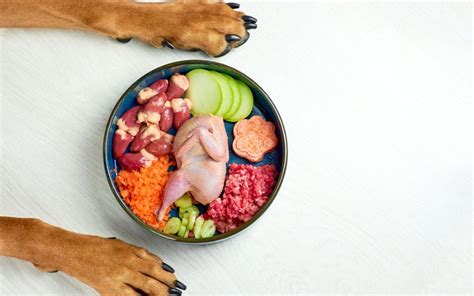 Raw Dog Food Delivery: Feeding Wellness - Healthy Pet Food