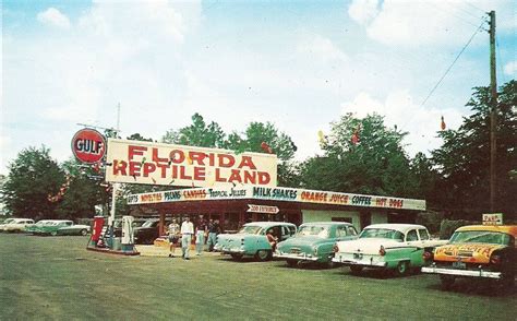 mid 1950s tourist trap | Road trip florida, Roadside attractions, Florida